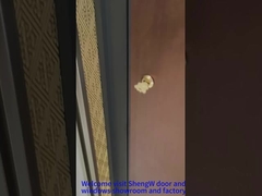 Porta de pivô dianteira de alumínio